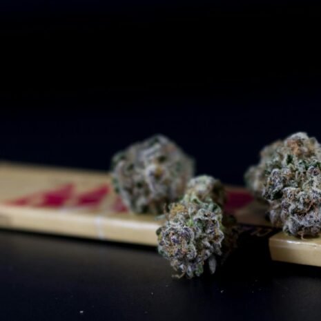 Close-up of cannabis buds on a rolling papers box, ideal for alternative medicine themes.