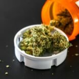 Close-up of medical cannabis spilling from an orange prescription bottle onto a surface.