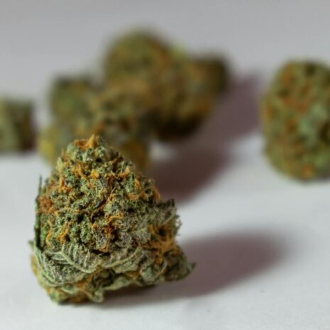 Detailed macro image of dried cannabis buds showcasing texture and color against a white background.